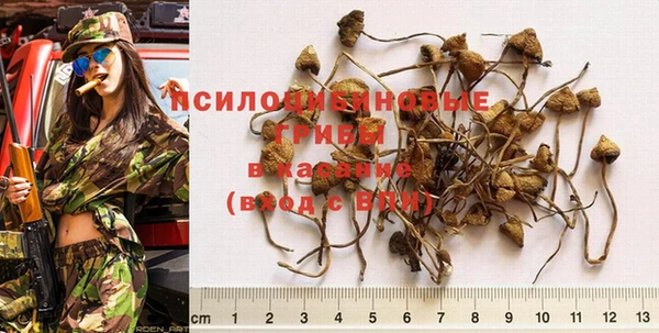 бошки Верхнеуральск